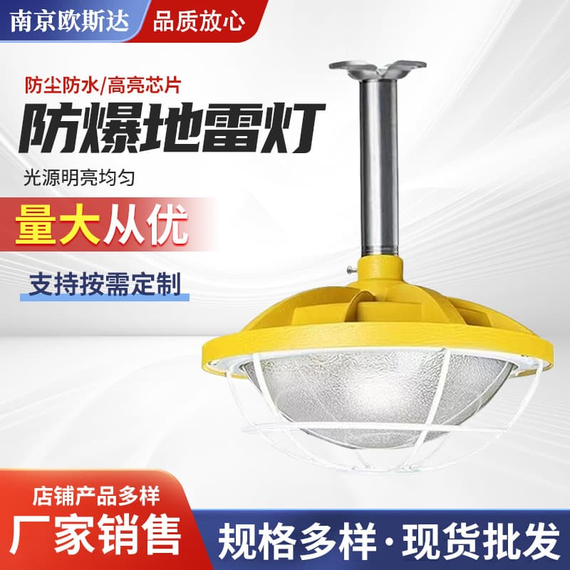Round Explosion-Proof Mine Light Factory Workshop Emergency Lighting Warehouse Gas Station LED Waterproof Flameproof Anti-Riot Light