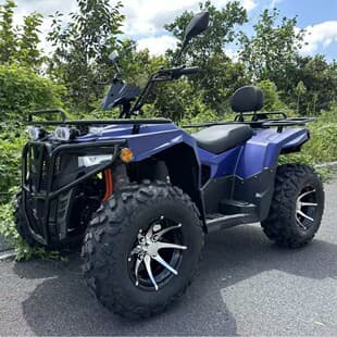 Factory Export to Europe Road-legal Lithium Battery Ultra Long Range Electric Four-wheel Off-road Motorcycle All-terrain Vehicle