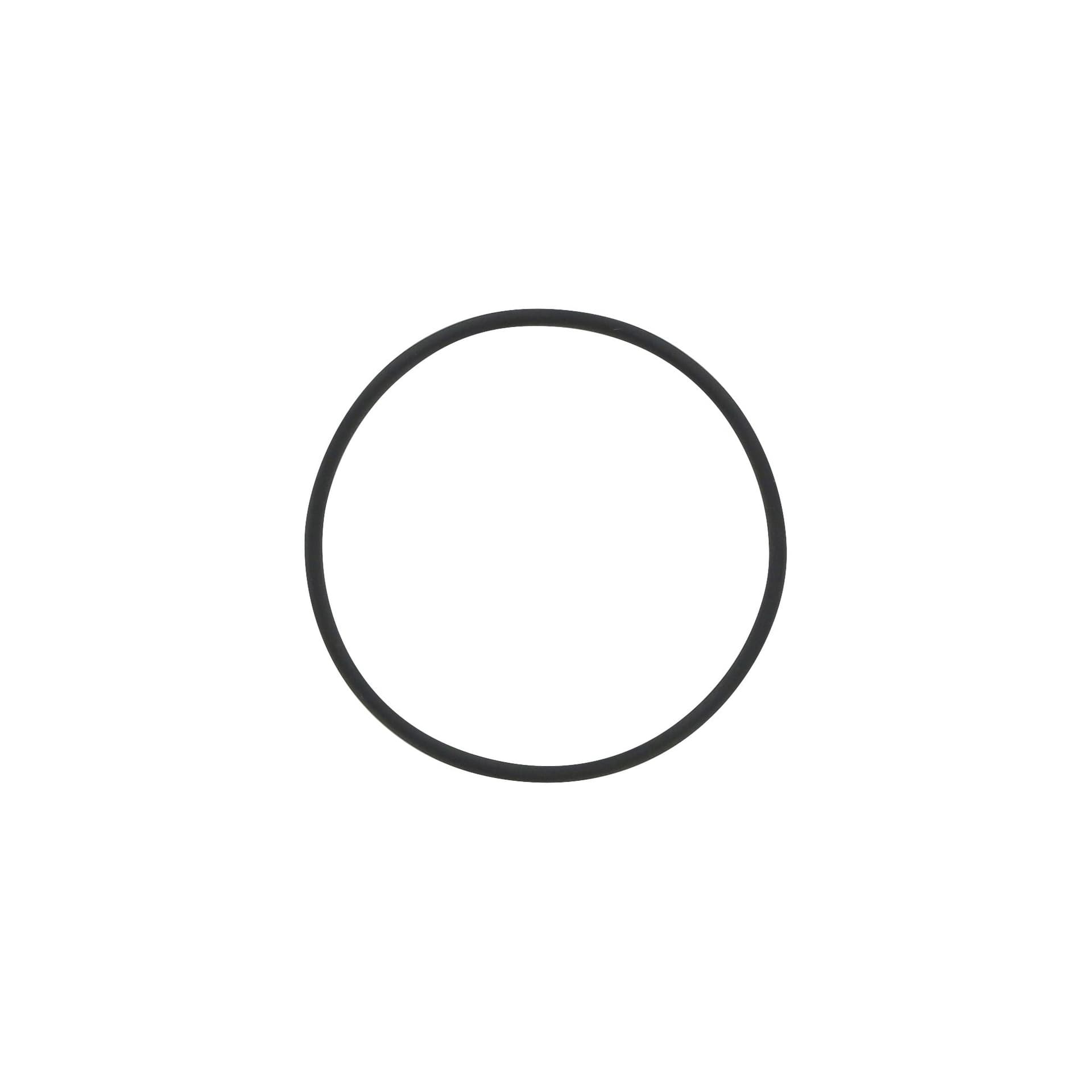 SIBATA Shibata Scientific 054310-50082 O-Ring for Perflo G-67φ64