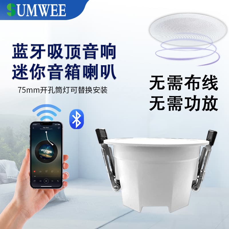 Bluetooth Ceiling Speaker Embedded Store Background Music Speaker Ceiling Mounted Horn Home Living Room Speaker