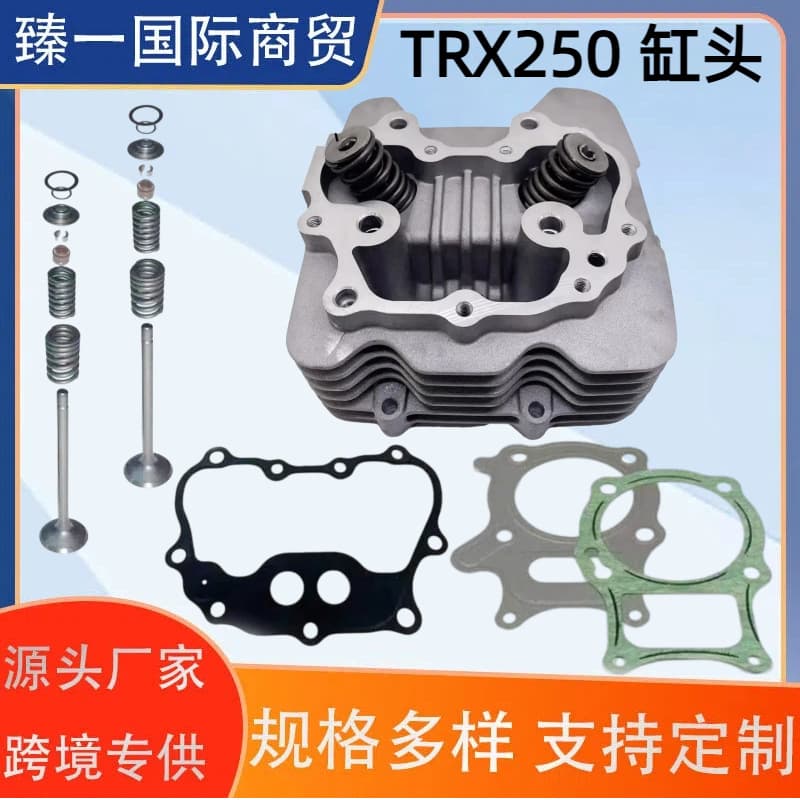 TRX250 Cylinder Head Assembly Motorcycle Parts Compatible with Honda TRX250 ATV Cylinder Head 12200-HM8-30