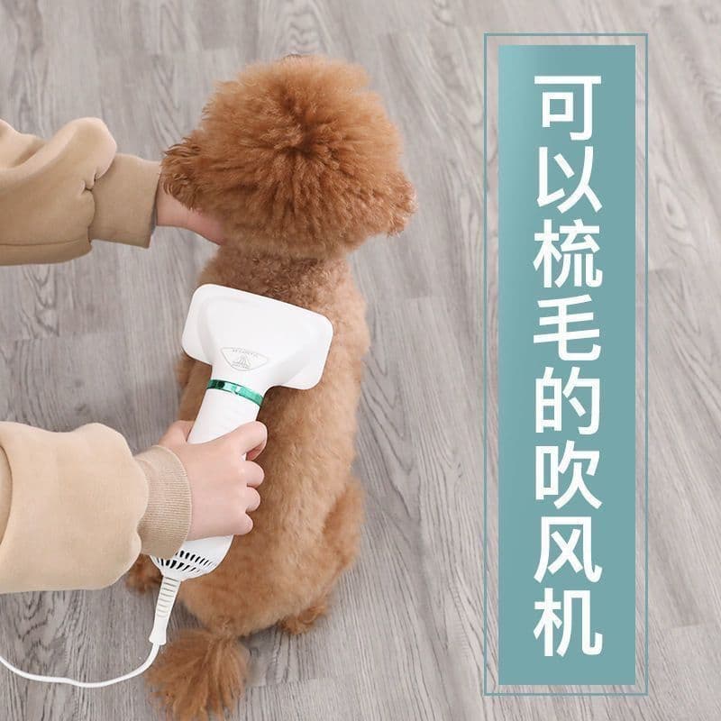 Small Dog Hair Dryer and Straightening 2-in-1, Quick-Dry for Bichon and Teddy Fluff, One-Key Hair Removal, Dog Bath Blow-Dry and Comb
