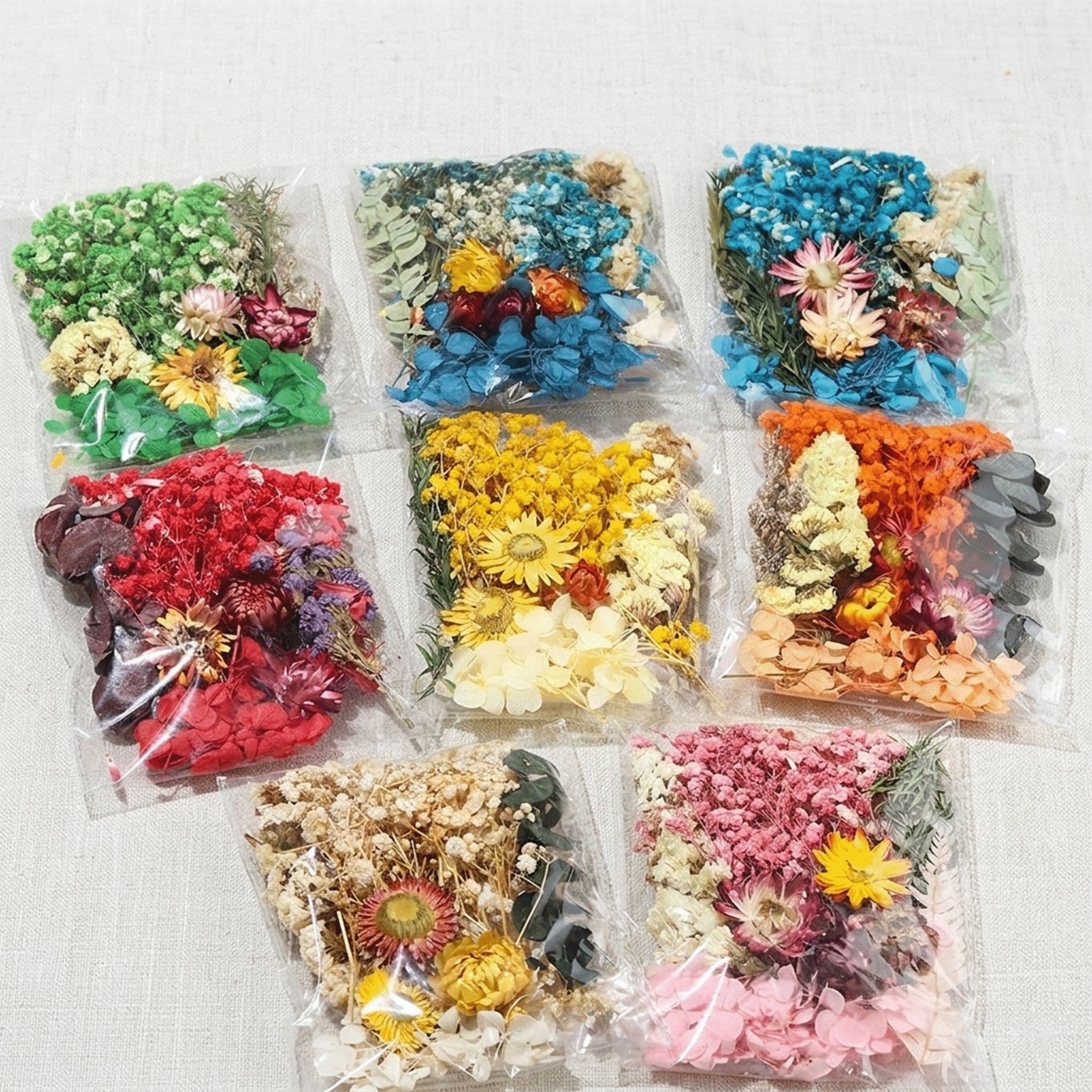 Dried Flower Round Fan DIY Kit with Preserved Flowers, DIY Photo Frame Sticker, Floating Flower Art Class, Bagged Flower Materials, Epoxy Greeting Card