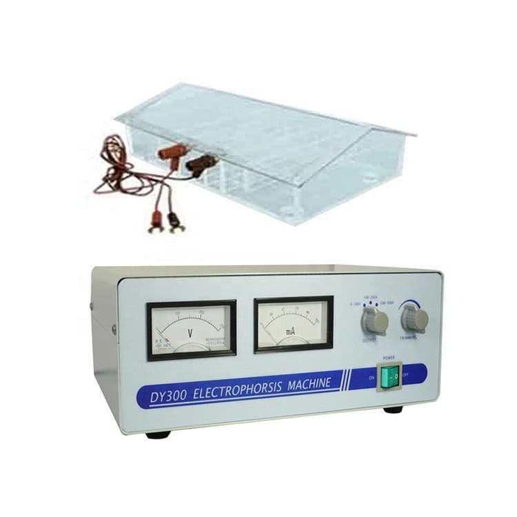 Cross-Border Exclusive Laboratory Analyzer DY-300 Horizontal Capillary Protein Electrophoresis System