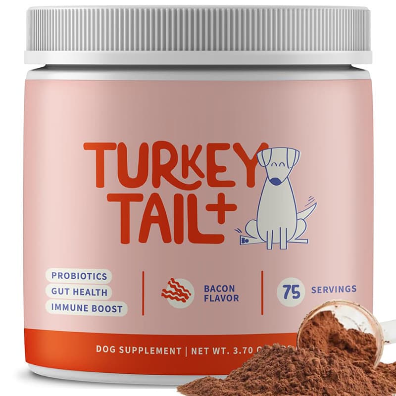 In Stock, Free Shipping, Direct Ship - Cross-Border TK Hot Selling Pet Probiotic Powder Turkey Tail Mushroom Powder TURKEY TAIL+