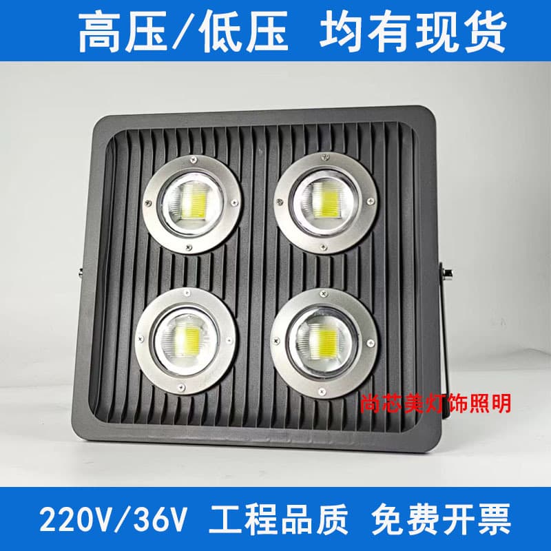 LED tunnel lights 100W low-voltage explosion-proof lights for factories, gas stations, floodlights, 36V/220V outdoor lighting.
