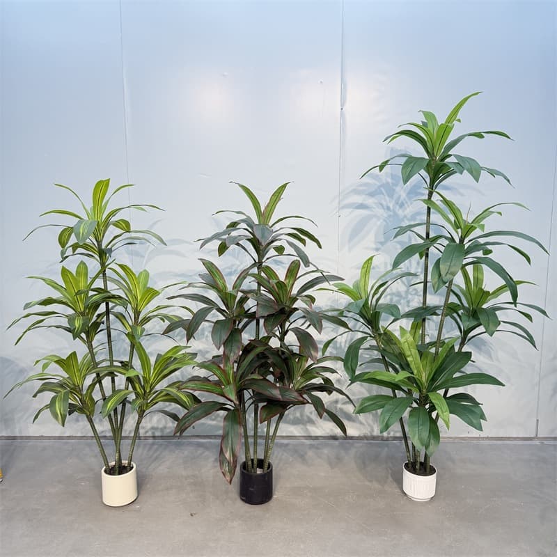 Cross-border Knockdown Artificial Green Plant Simulation Brazil Iron Tree Potted Dragon Blood Tree Fake Plant Large Landscape Floor Decoration