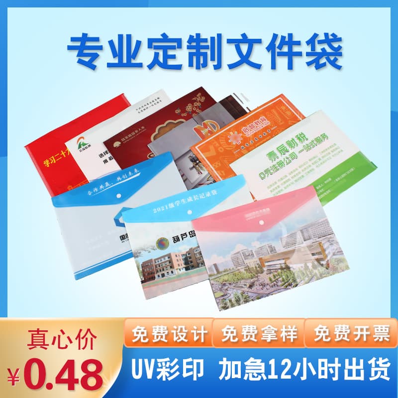 Transparent snap file bag folder a4 office storage file bag bill bag policy bag printed logo text