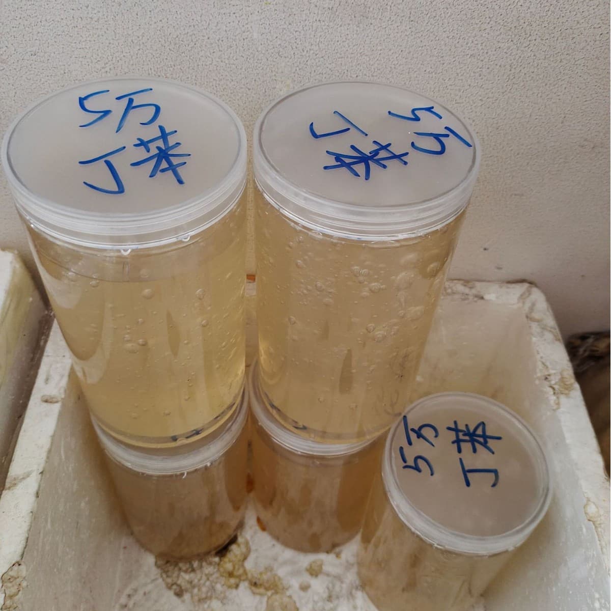 High Viscosity Liquid Styrene Butadiene Rubber, suitable for waterproof membranes and high-density rubber materials.