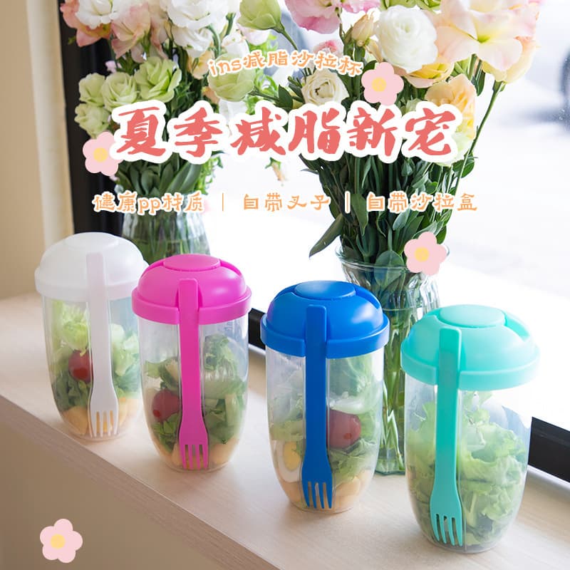 Salad To-Go Cup with Fork, Double-Layer Mason Jar, Portable Yogurt Container for Weight Loss