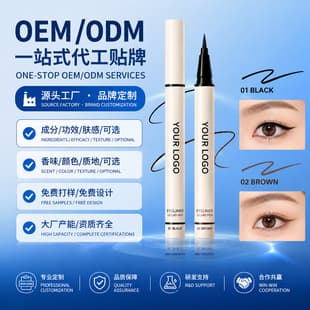 Liquid Eyeliner Pen OEM/ODM Source Factory Cosmetics Private Label Customization Cross-border Supply