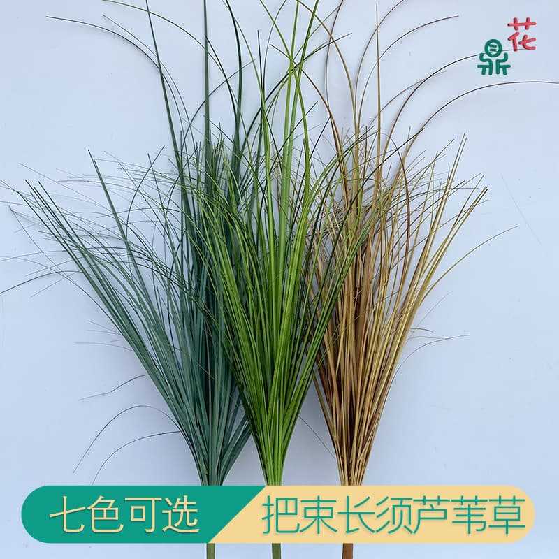 Simulated long-bearded reeds, foxtail grass, green potted plants, decorative onion grass bouquets, Instagram-worthy items.