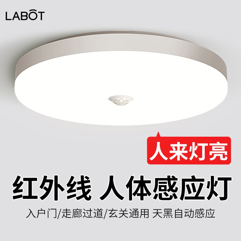 Infrared Human Body Sensor Lamp Automatic Home Entrance Door Corridor Stair Corridor Aisle Smart Radar Ceiling Lamp