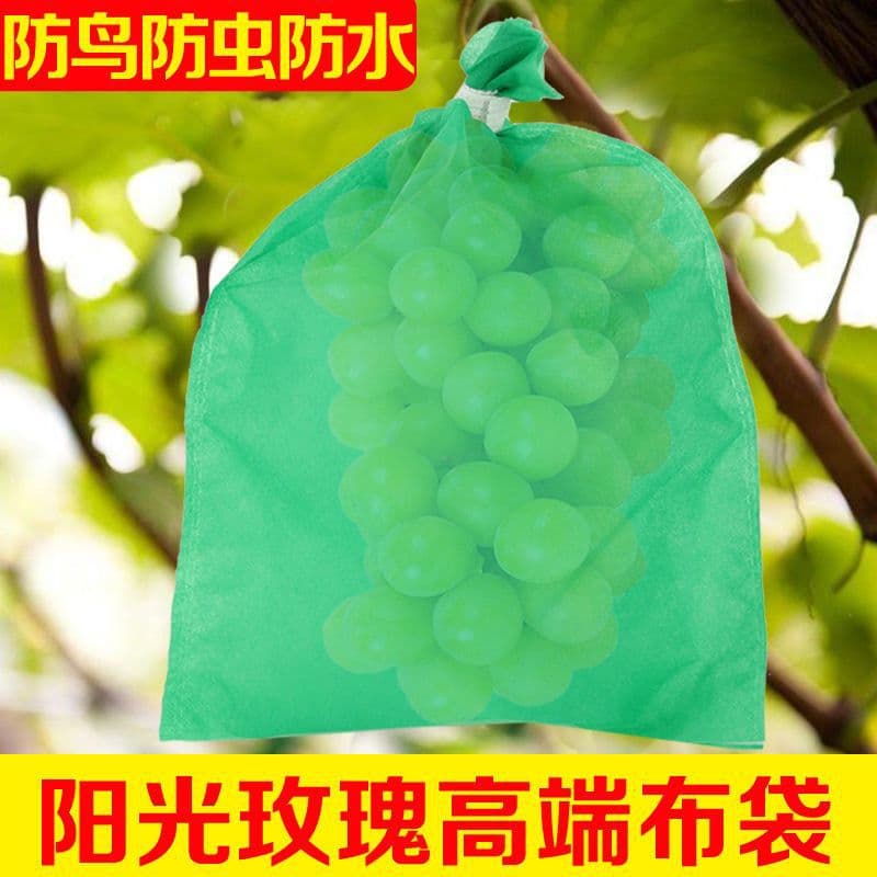 Wholesale silk grape bagging, green sunshine rose special breathable anti-bird non-woven fabric grape bag fruit bagging