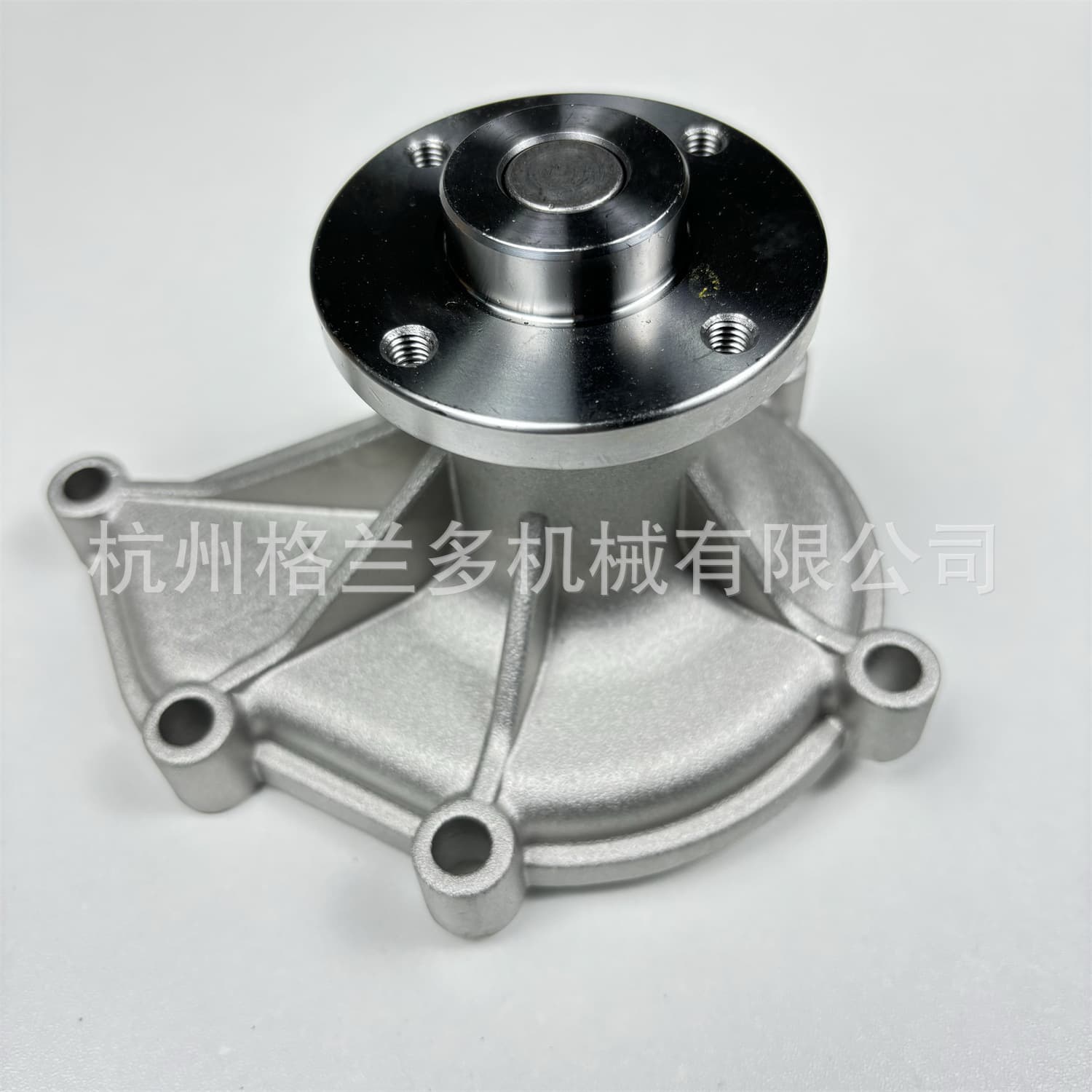 Water Pump 621361000100 6213-610-001-00 GWLS-01A