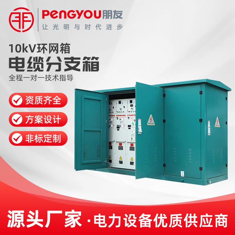10kV Ring Main Unit (10kV Cable Branch Box) HWX-12 DFW-12 High and Low Voltage Complete Equipment Factory