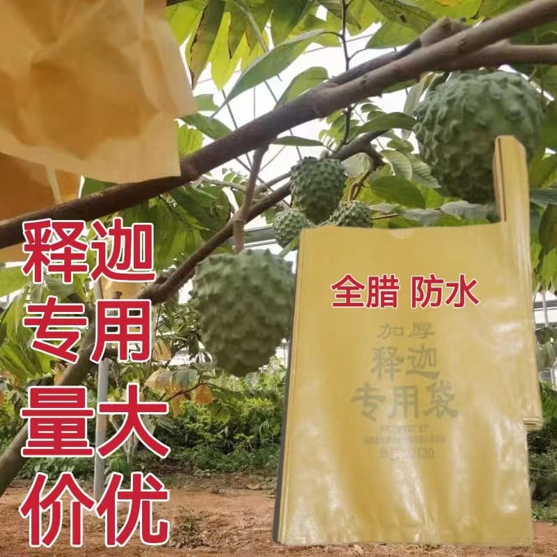 Sugar Apple Bagging Buddha Head Fruit Insect Protection Bag Waterproof Sunproof Frostproof Double-layer Thickened Paper Bag Fruit Bag