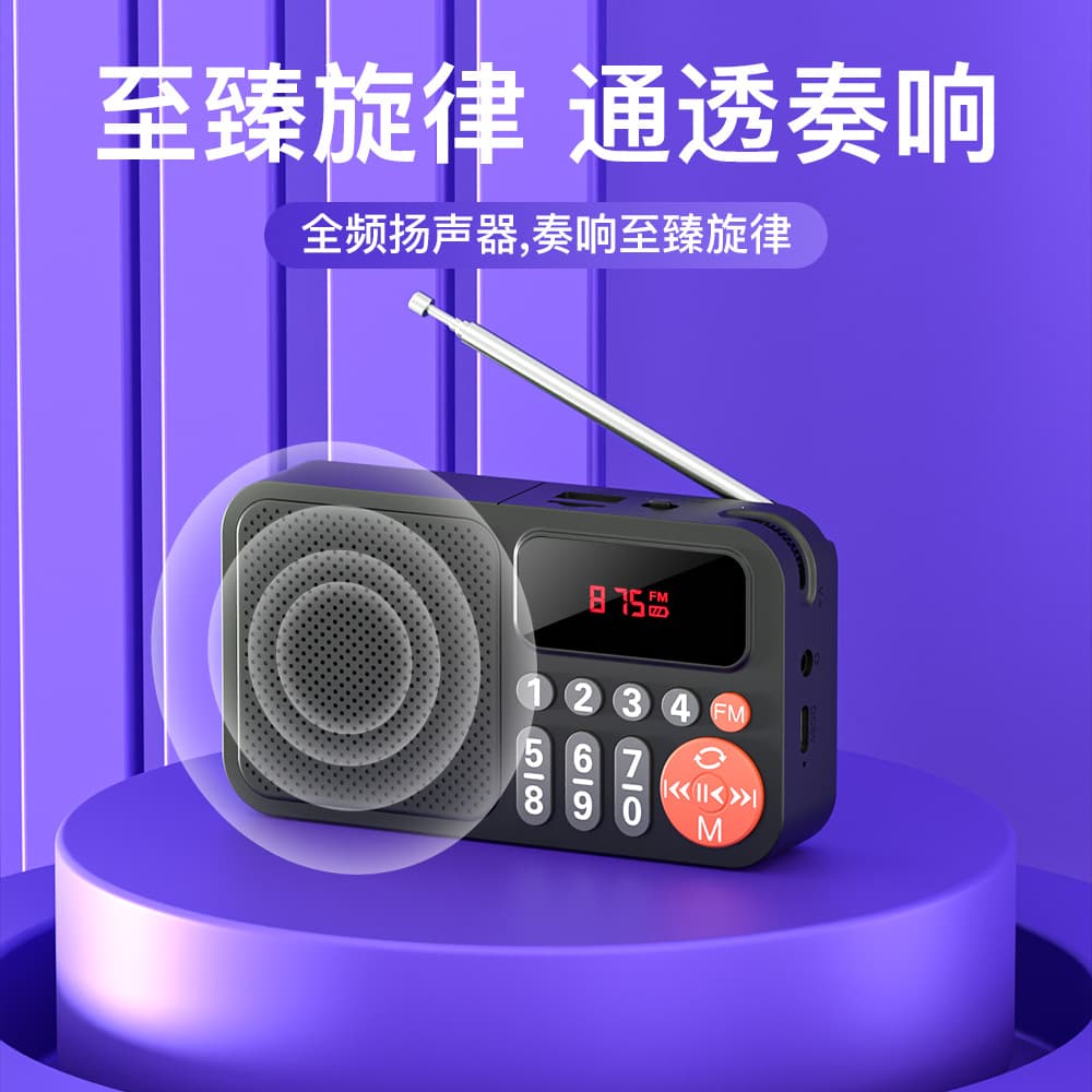 Beqi T16 Bluetooth Player for Elderly, Card Radio Drama Player with Charging and High Volume