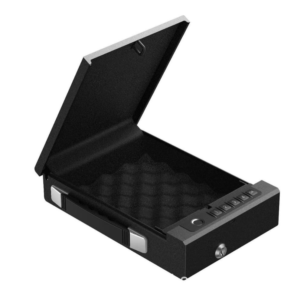 Fingerprint Password Safe with APP Cabinet, Graffiti Gun Portable Vehicle Gunsafe