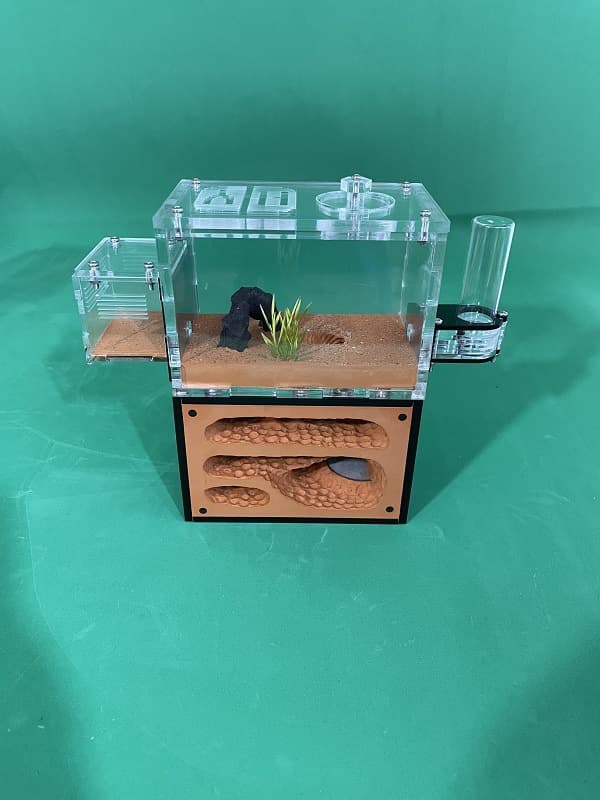 Ant Castle Double-Layer Transparent Ant Nest Ant Workshop House Imitation Ant Nest Ant Box Single Ant Nest Others