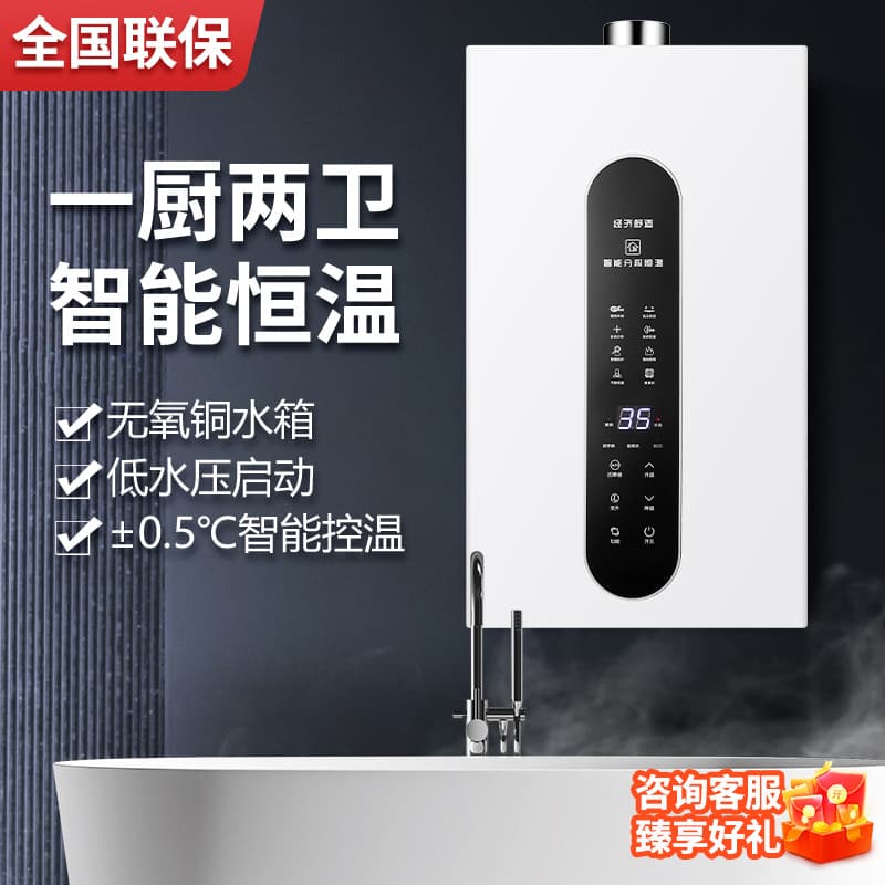 Haotaitai Gas Water Heater, Electric Household 12L/16L Natural Gas, LPG Forced Exhaust Constant Temperature Inverter for Showering