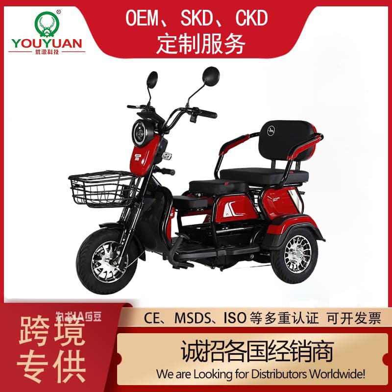 Wholesale New Electric Tricycle for Seniors Leisure Adult Mobility Small Household Electric Vehicle Factory Direct