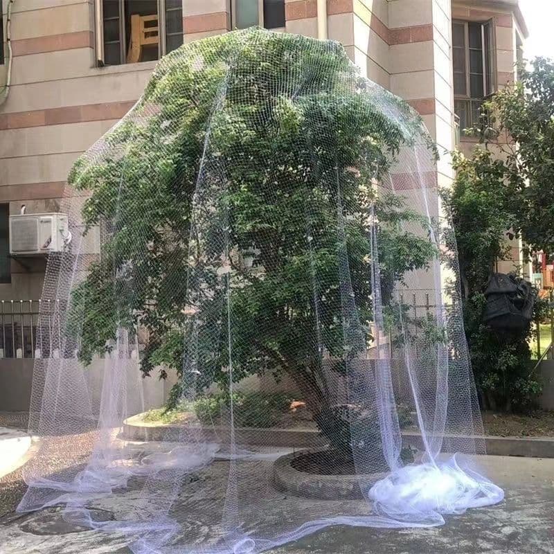 Greenhouse Fruit Trees, Orchards, Cherries, Grapes, Pears, Strawberries Nylon Bird Net, Balcony Protection Net, Fish Pond, Loach Sky Net