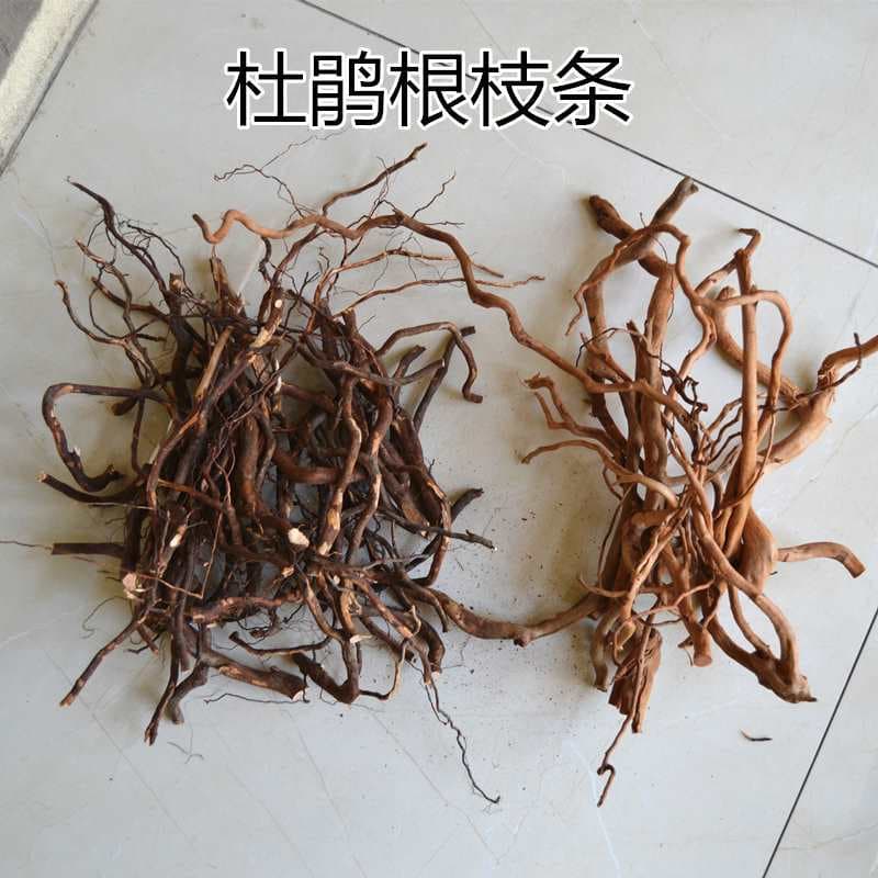 Azalea root branches, driftwood, driftwood skeleton, aquatic plant tank landscape material, raw material finished product, purple elm wood, perch root