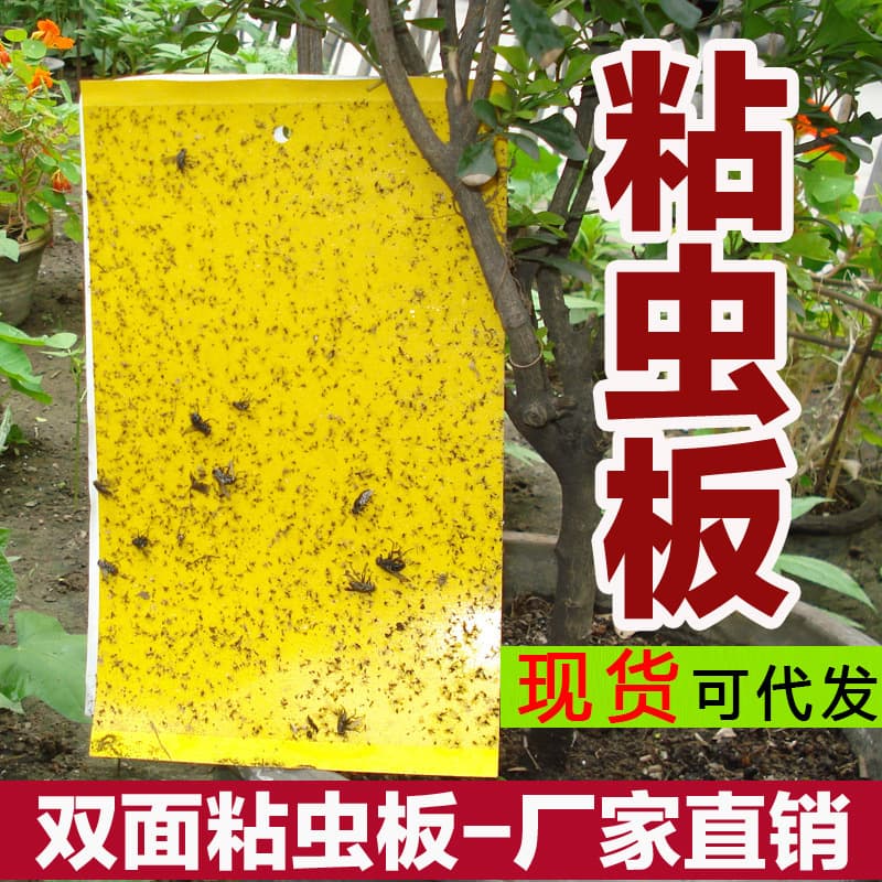 Yellow Sticky Traps Dual-Sided Insect Catcher for Aphids and Small Flying Insects, Pest Control Boards