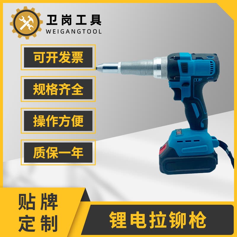 Lithium Battery Fully Automatic Rivet Gun, Rechargeable Industrial Grade Electric Rivet Gun Tool, Blind Rivet Head Manufacturer