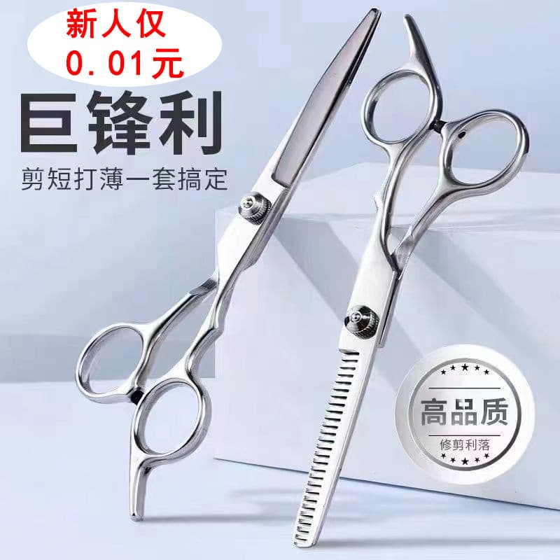2-Piece German Precision Hairdressing Scissors Set, Thinning and Texturizing Shears, Professional