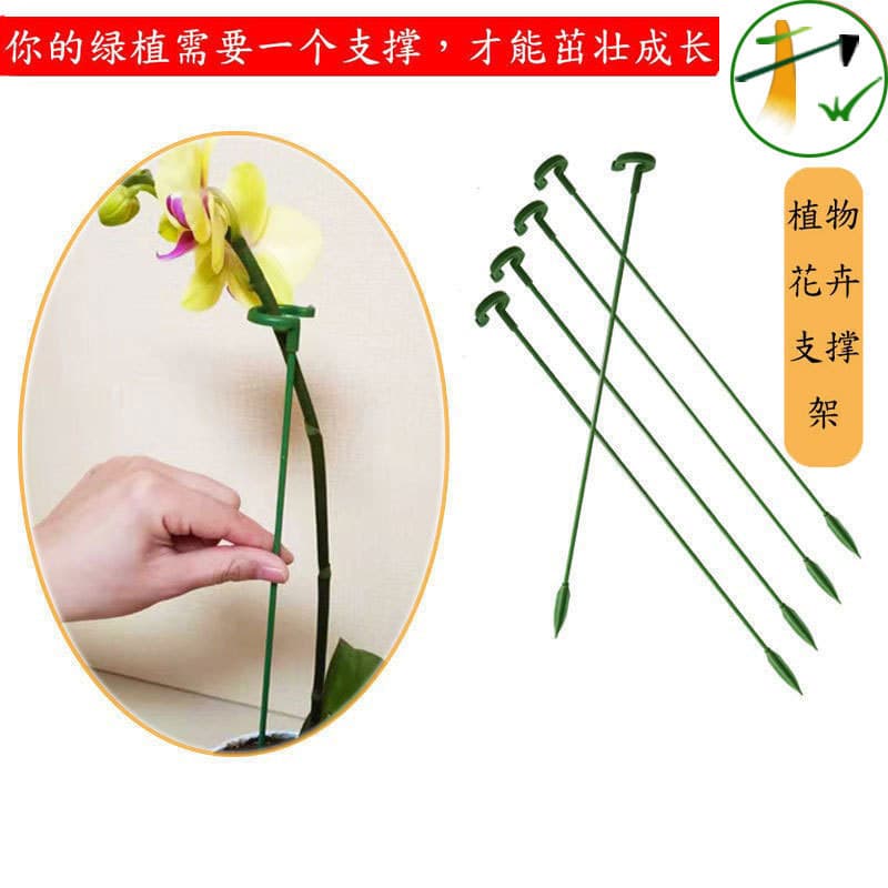 Flower stand support rod for Phalaenopsis, hanging orchids, succulents, roses, and other plants - Zhao Zhi Sun