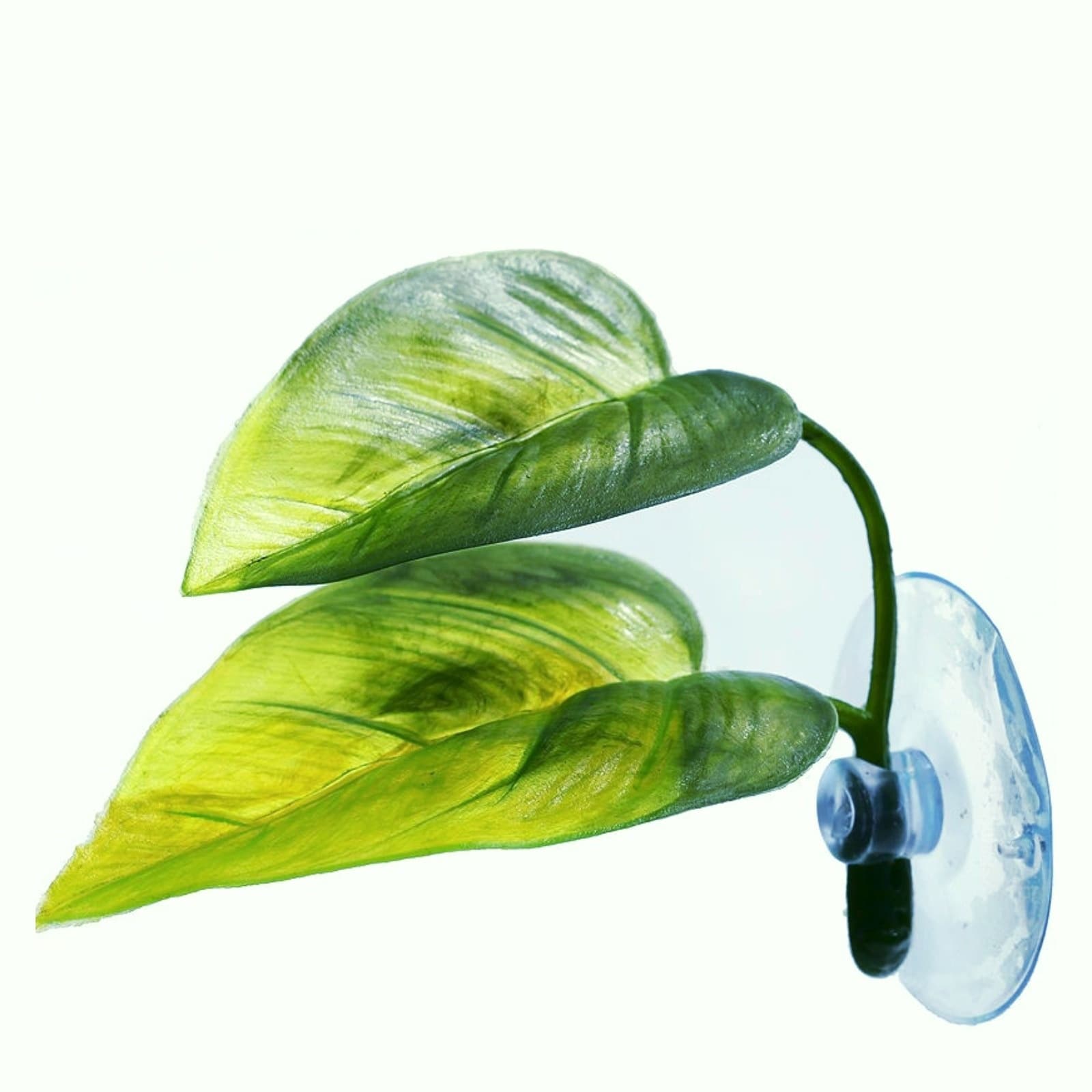 Double Layer Betta Leaf Resting Egg Laying Leaf Aquarium Fish Supplies Bed Factory Wholesale
