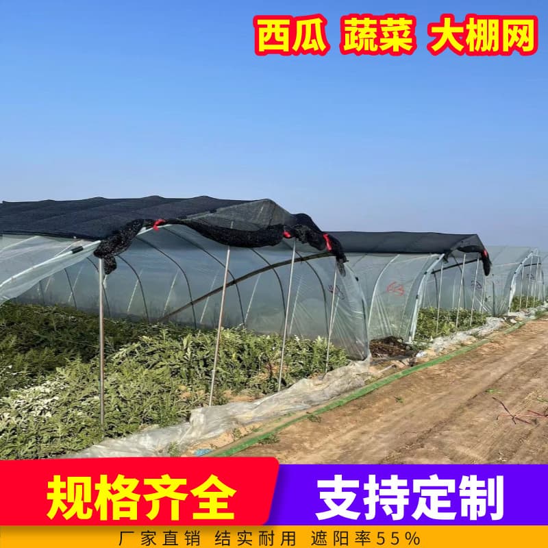 Three-needle densified and thickened shade net, watermelon net, vegetable net, specialized coal covering net for agricultural planting greenhouse