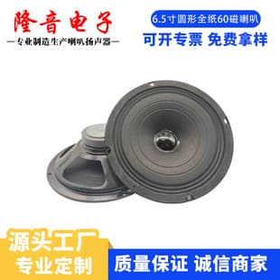 6.5-inch Full Paper Full-Range 60 Magnet Speaker 4Ω10W for Pull Rod Speaker Outdoor Square Dance Amplification