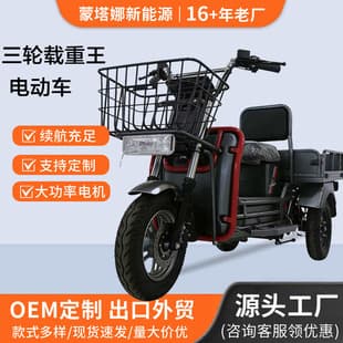 Load King Electric Motorcycle Commuter Load King Electric Motorcycle Delivery Long Range Three-Wheeler Export Wholesale