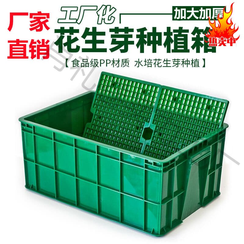 Commercial Hydroponic Peanut Sprout Planting Tray Extra Large Multifunctional Growing Box Specialized Plate for Bean Sprout Seedling Tray
