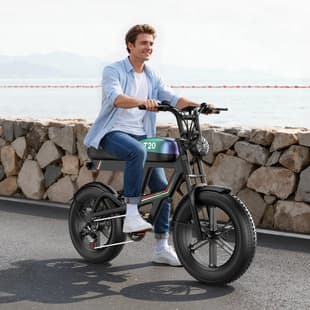 Factory Direct Cross-Border Stock 20-Inch Peak 1800W Retro Electric Motorcycle Snow Off-Road Electric Bicycle