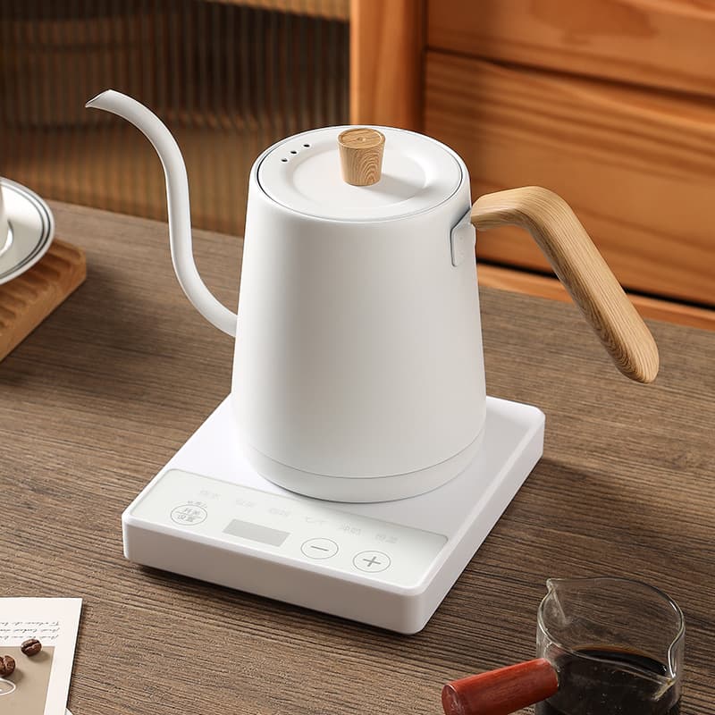 Strictly Selected Electric Kettle for Home Tea Brewing, Slim Spout Temperature Control Pour-Over Kettle with Insulation and Constant Temperature
