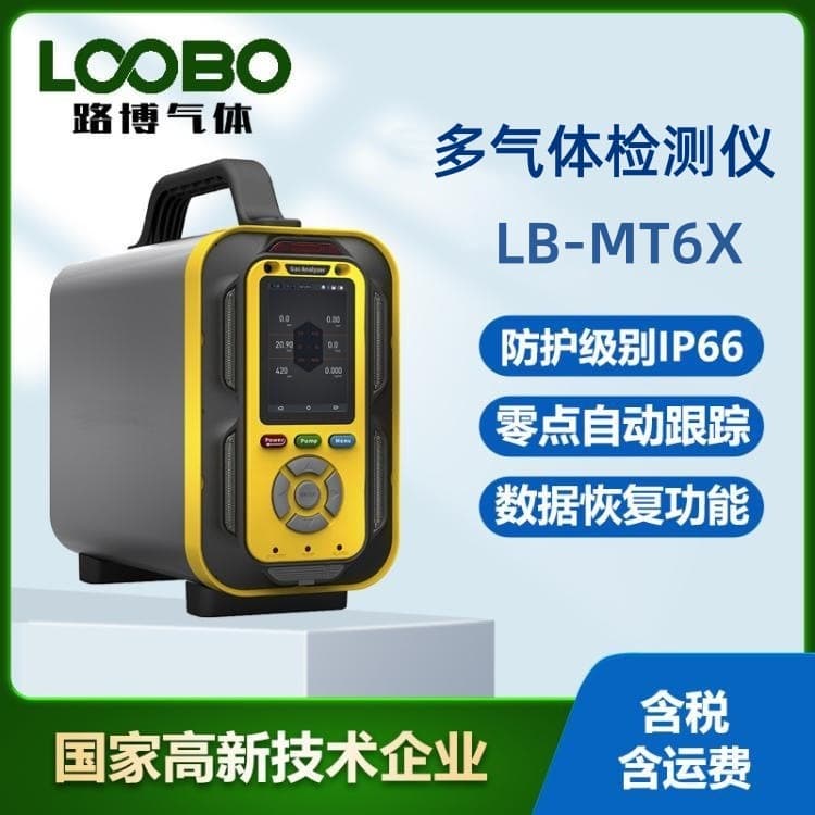 LB-MT6X Infrared Sensor Pump Suction Handheld Sulfuryl Fluoride Detector