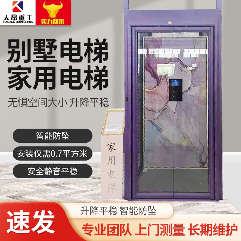 Home Elevator Villa Traction Elevator Duplex Loft Indoor and Outdoor Lift Small Pitless Elevator