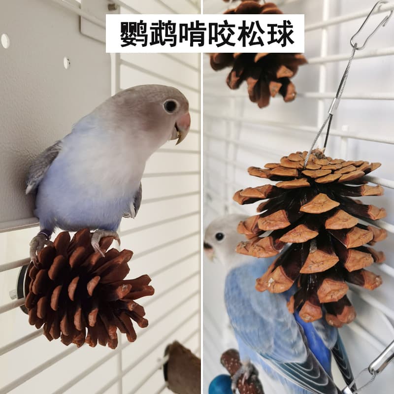 Parrot Bite Toy Bird Cage Molar Pine Ball Pine Cone Cockatiel Parrot Play Chew Beak Hanging Supplies
