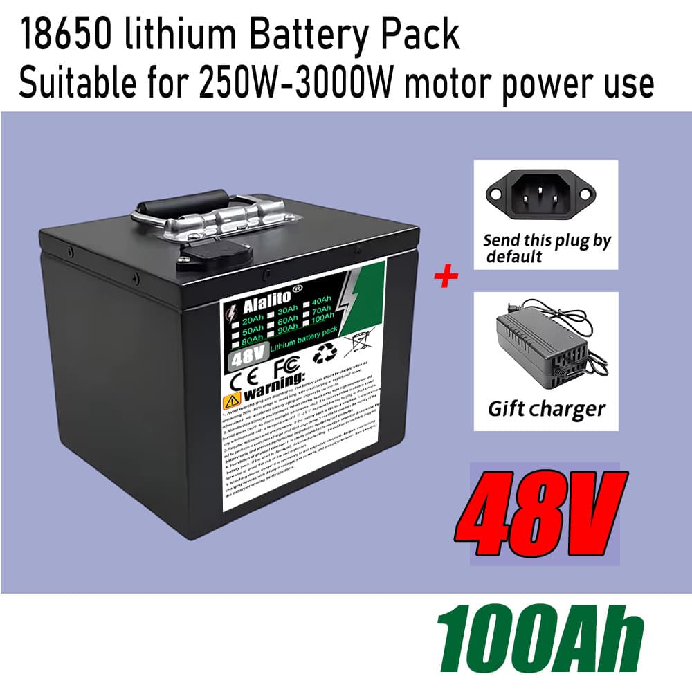 18650 Lithium-Ion Battery 48V 20Ah-100Ah with Built-in BMS + Charger, Suitable for 3000W Motor