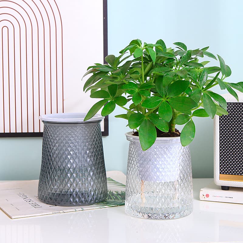 Creative hydroponic plant plastic vase transparent water-growing pothos flower pot container vase round spherical flower pot