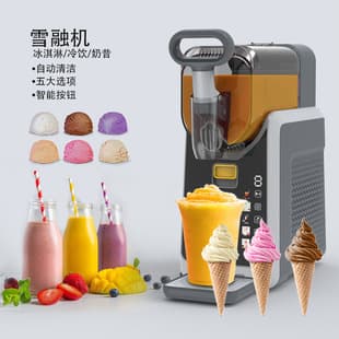 Snow Melting Machine Home Small Automatic Smoothie Maker Beverage Machine Fast Ice Cream Machine Commercial Soft Serve Ice Cream Machine
