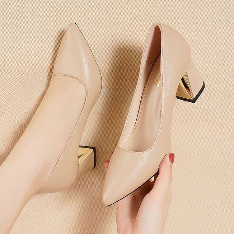 Chunky Heel Pointed Toe Square Buckle Niche Design Elegant High Heel Shoes Women 2024 Spring Autumn New French Style Low Heel Shoes