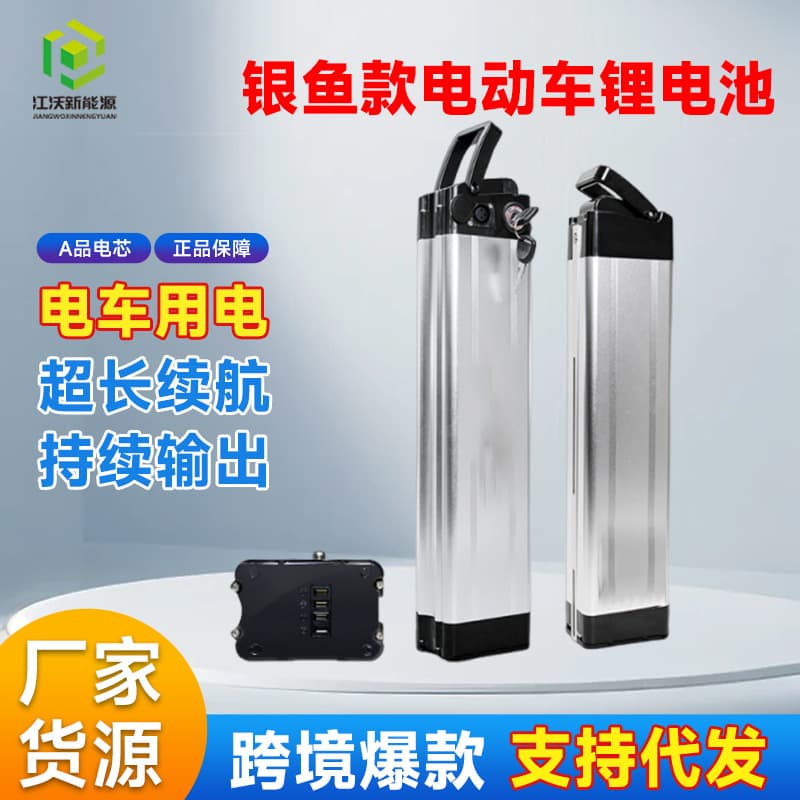 36V Lithium Battery 48V Battery Discharge Port for Folding Electric Bike Smart Protection Explosion-Proof Custom Battery