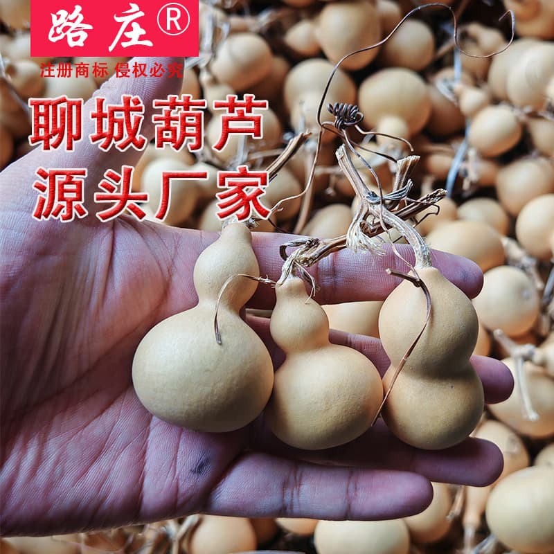Small Gourds with Dragon Head, Natural American Gourds for Twirling and Display, Wholesale from Liaocheng Source