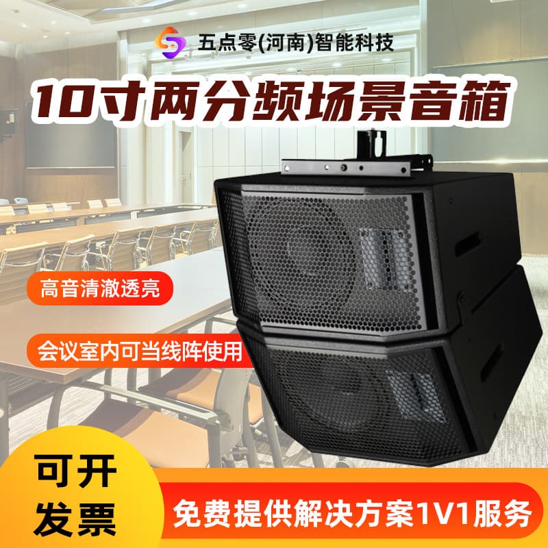 Single ten-inch passive two-way speaker commercial KTV private room conference room stage professional full scene speaker