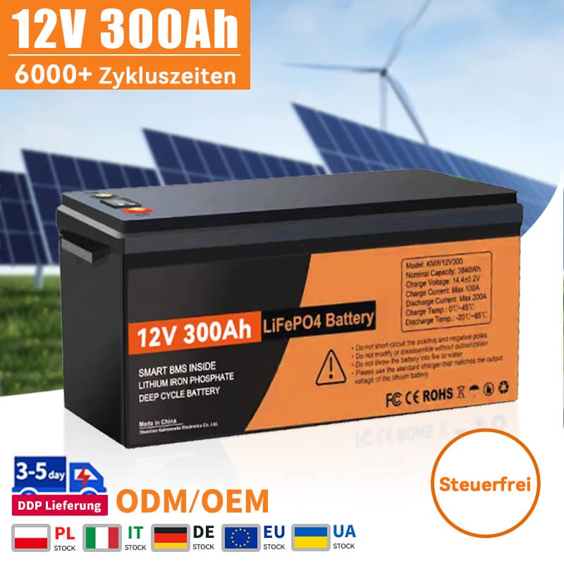 12V 300Ah LiFePO4 Batteriepack mit BMS 24V 100AH 200AH 12.8V